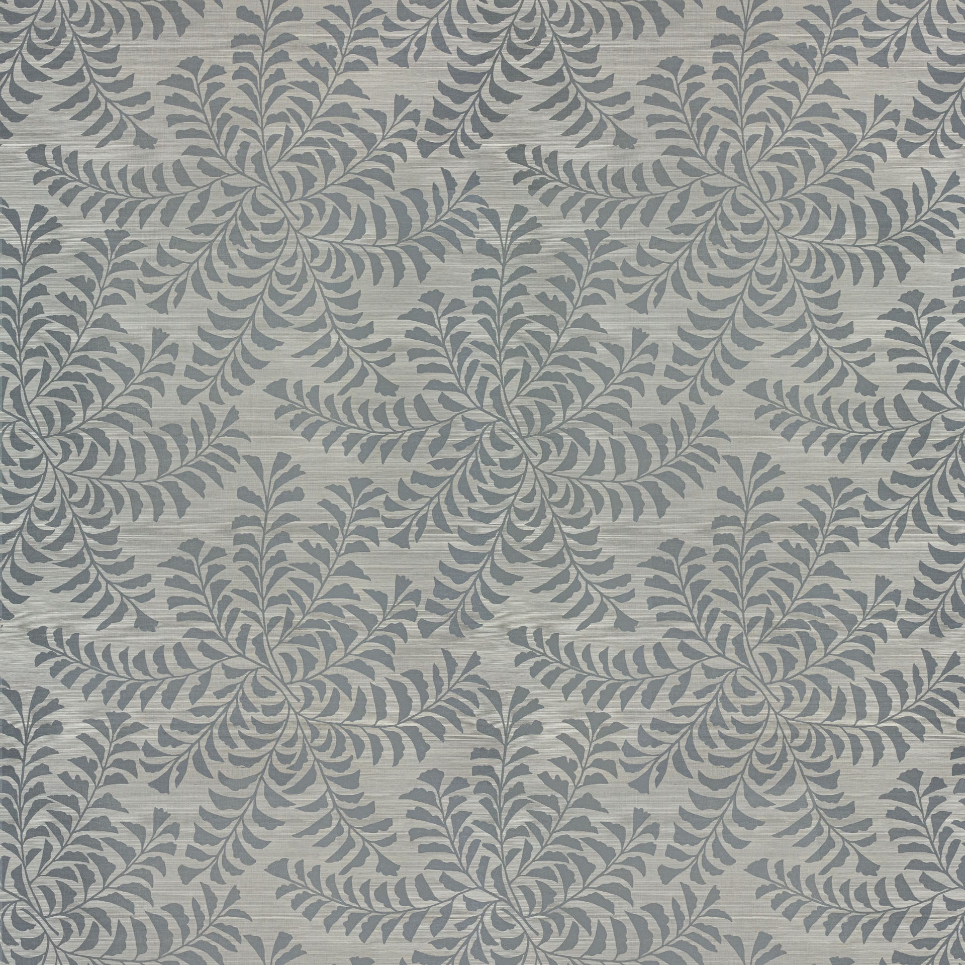 Fern