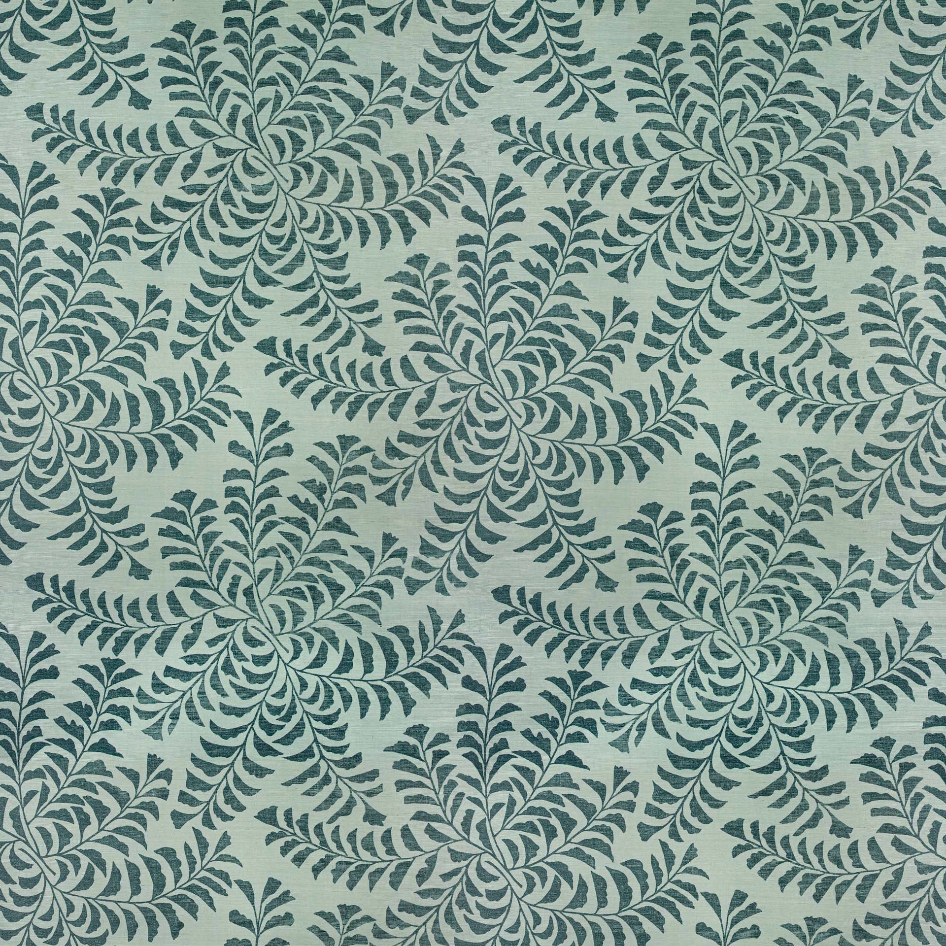 Fern