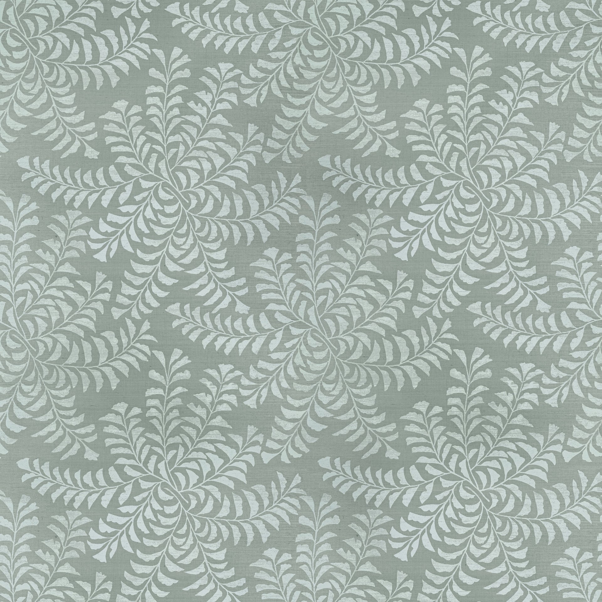 Fern