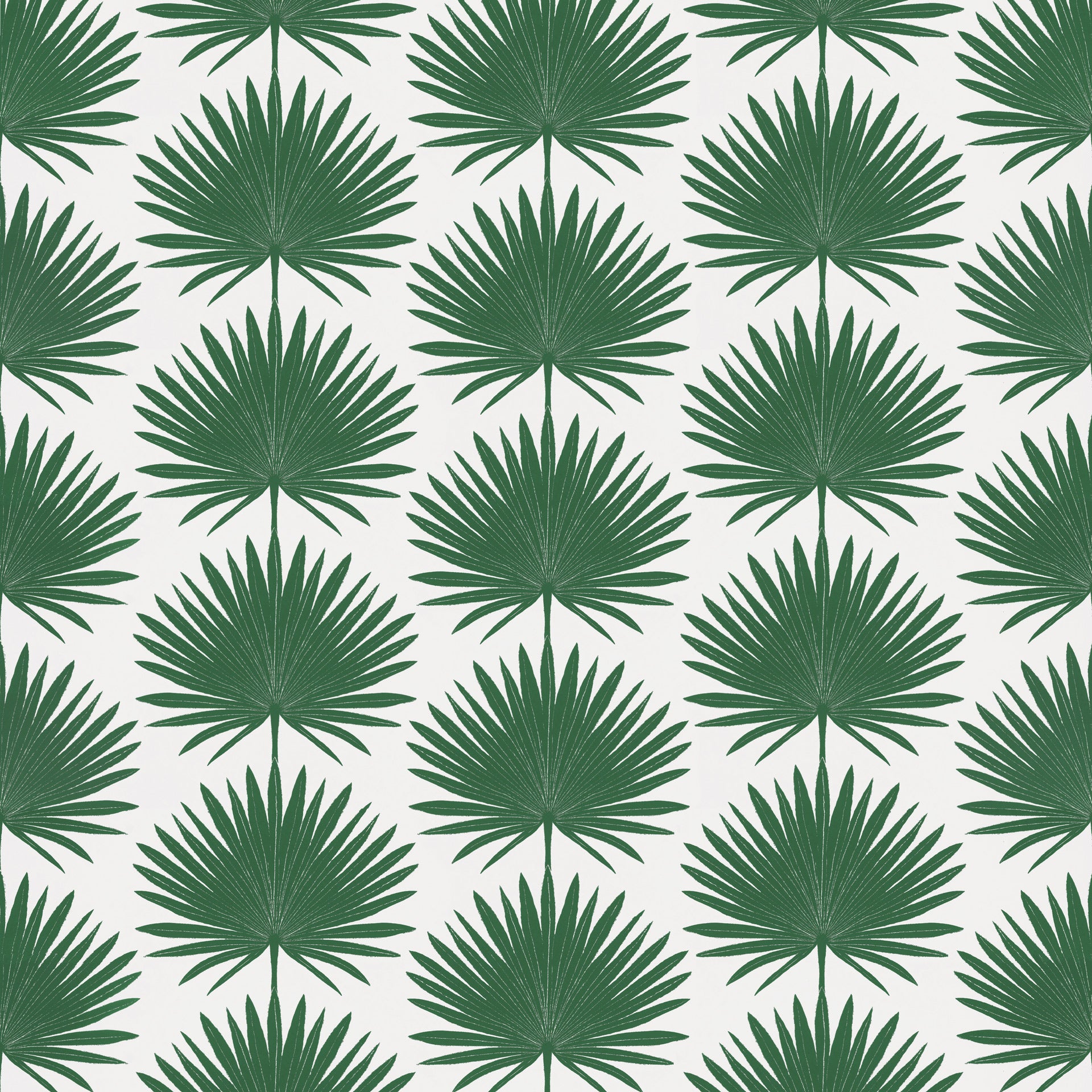 Palmetto