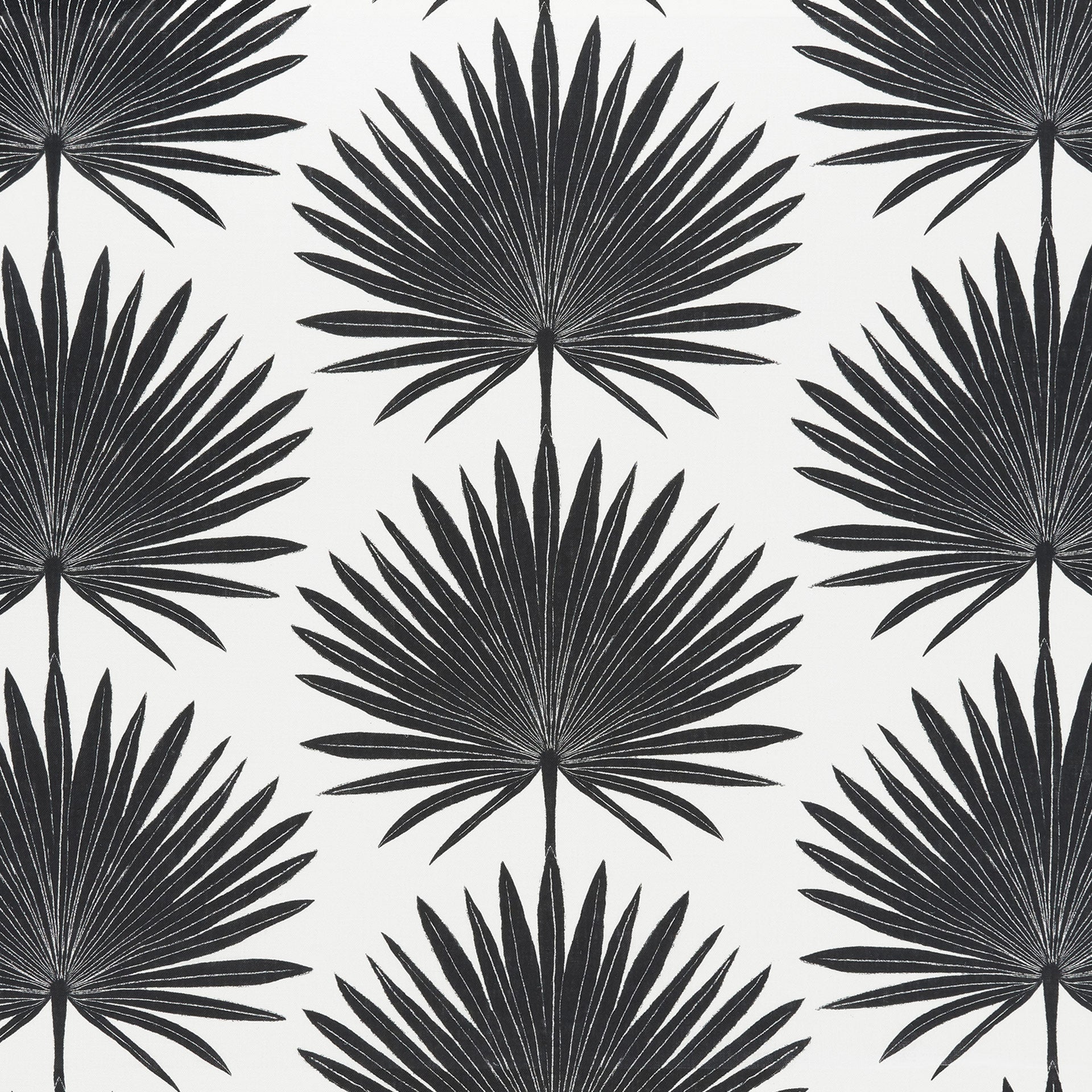 Palmetto