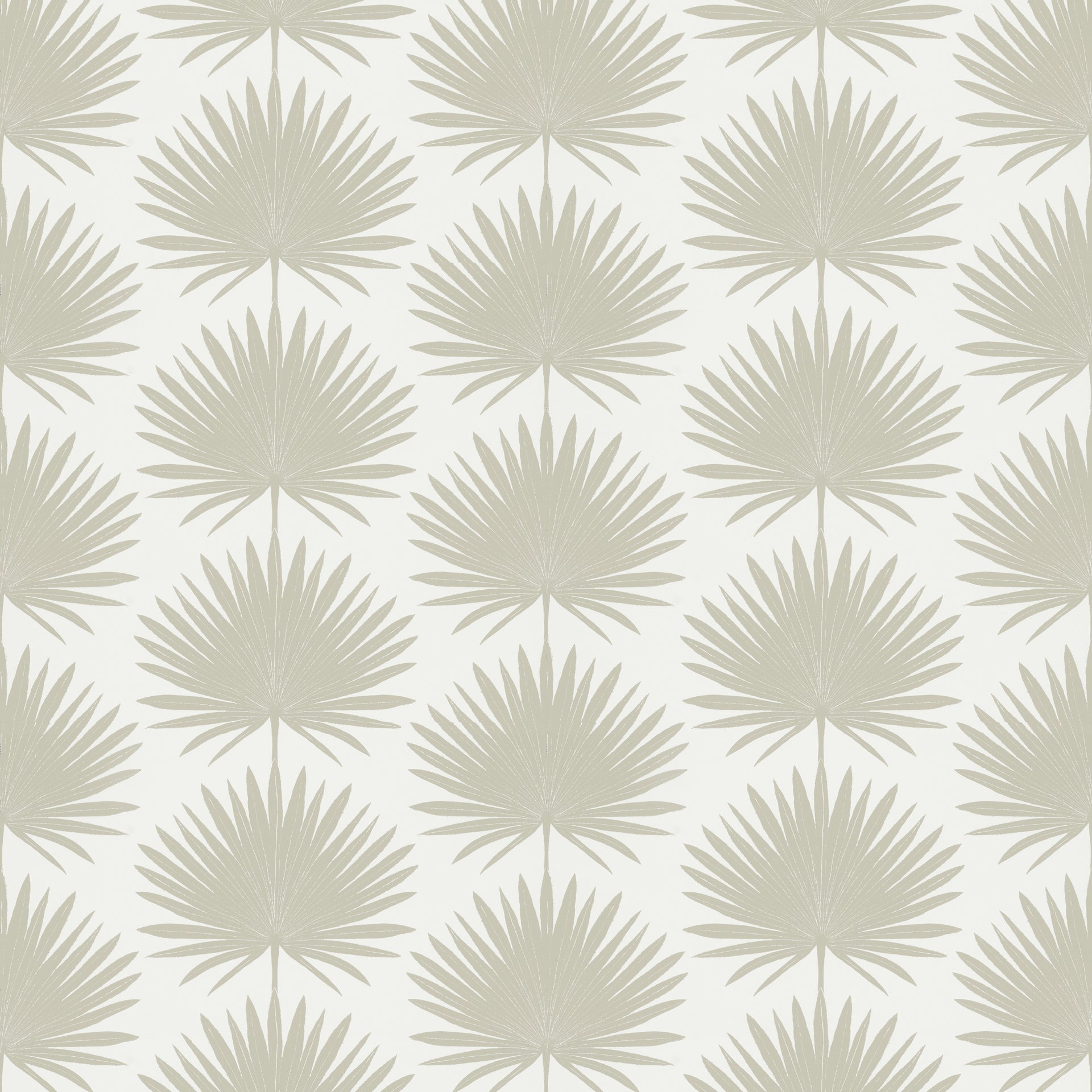 Palmetto