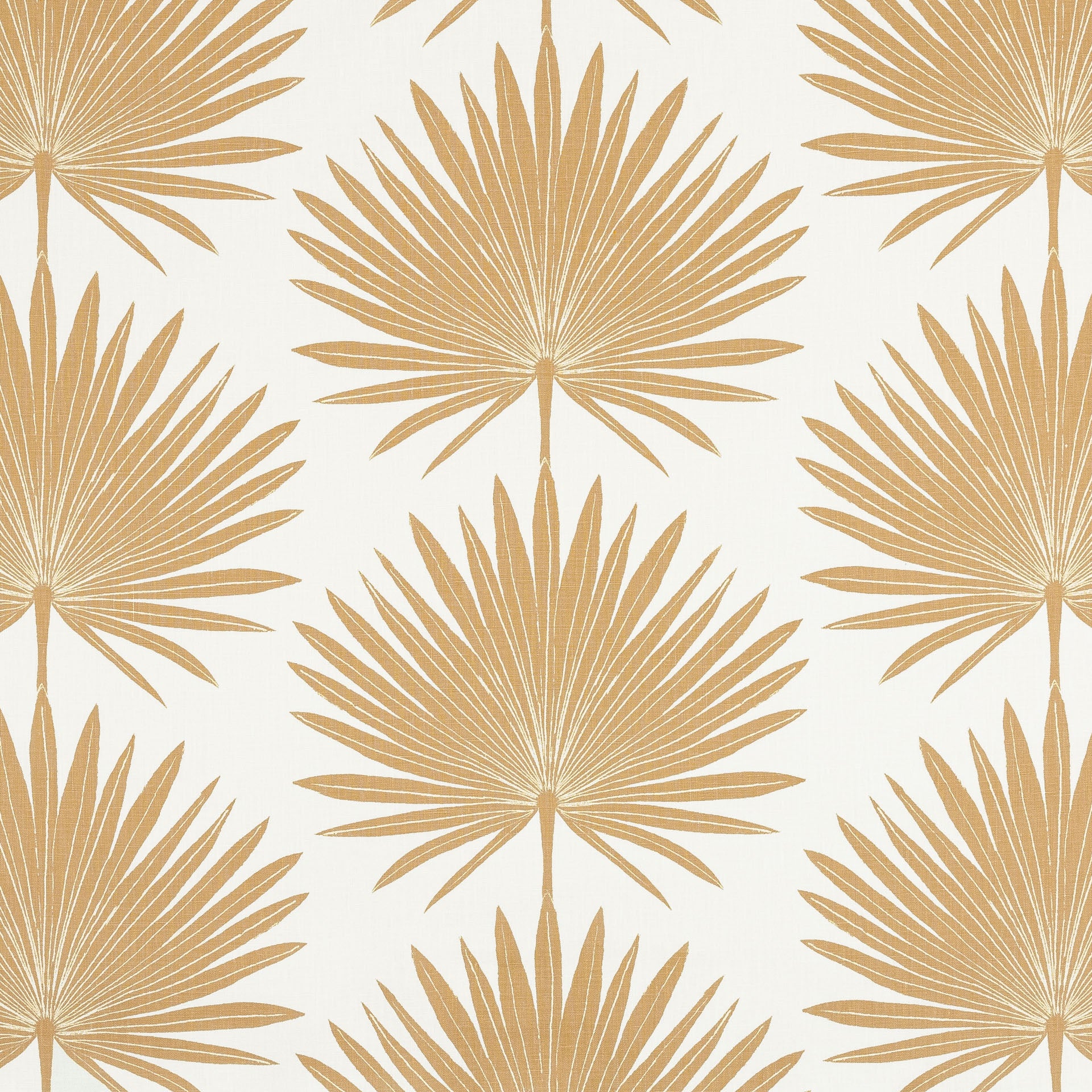 Palmetto