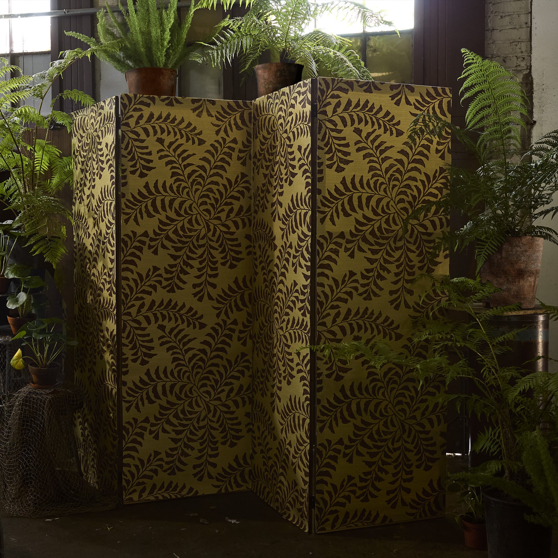 Fern