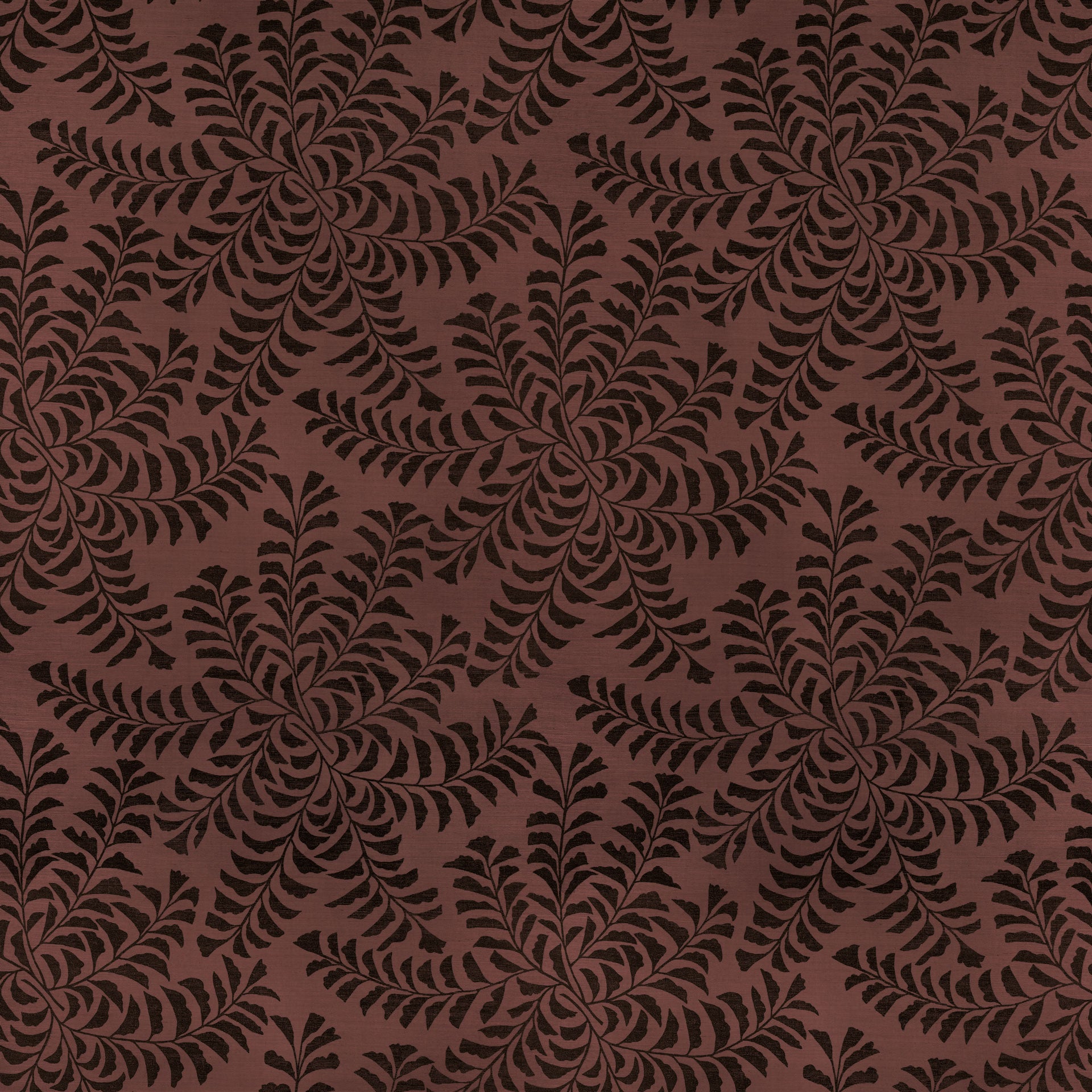 Fern