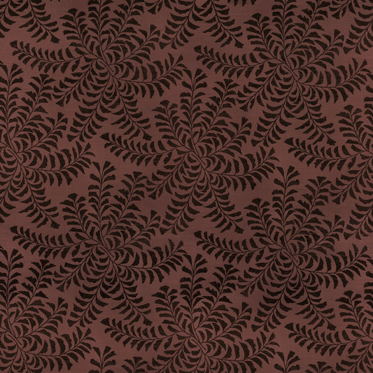 Fern