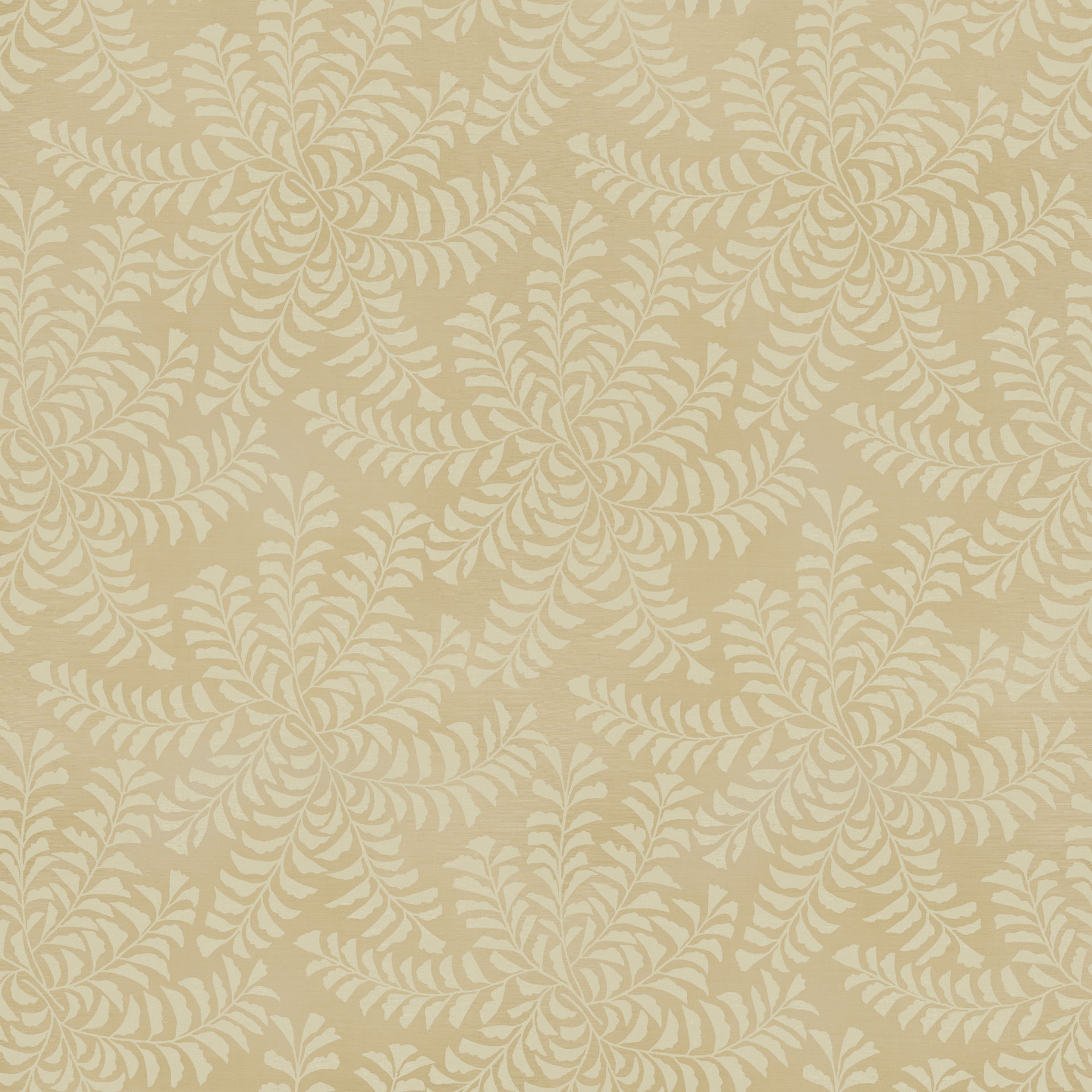 Fern