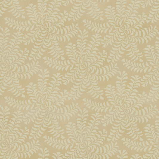 Fern