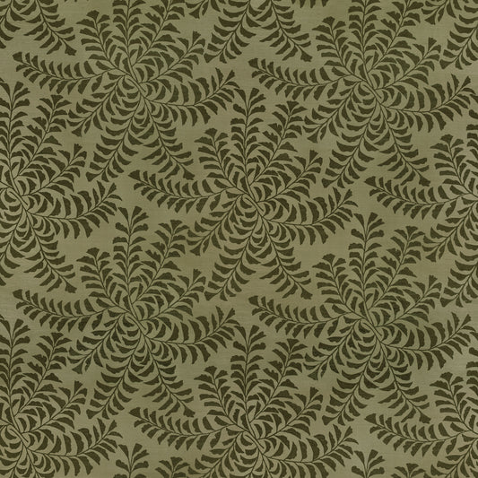 Fern