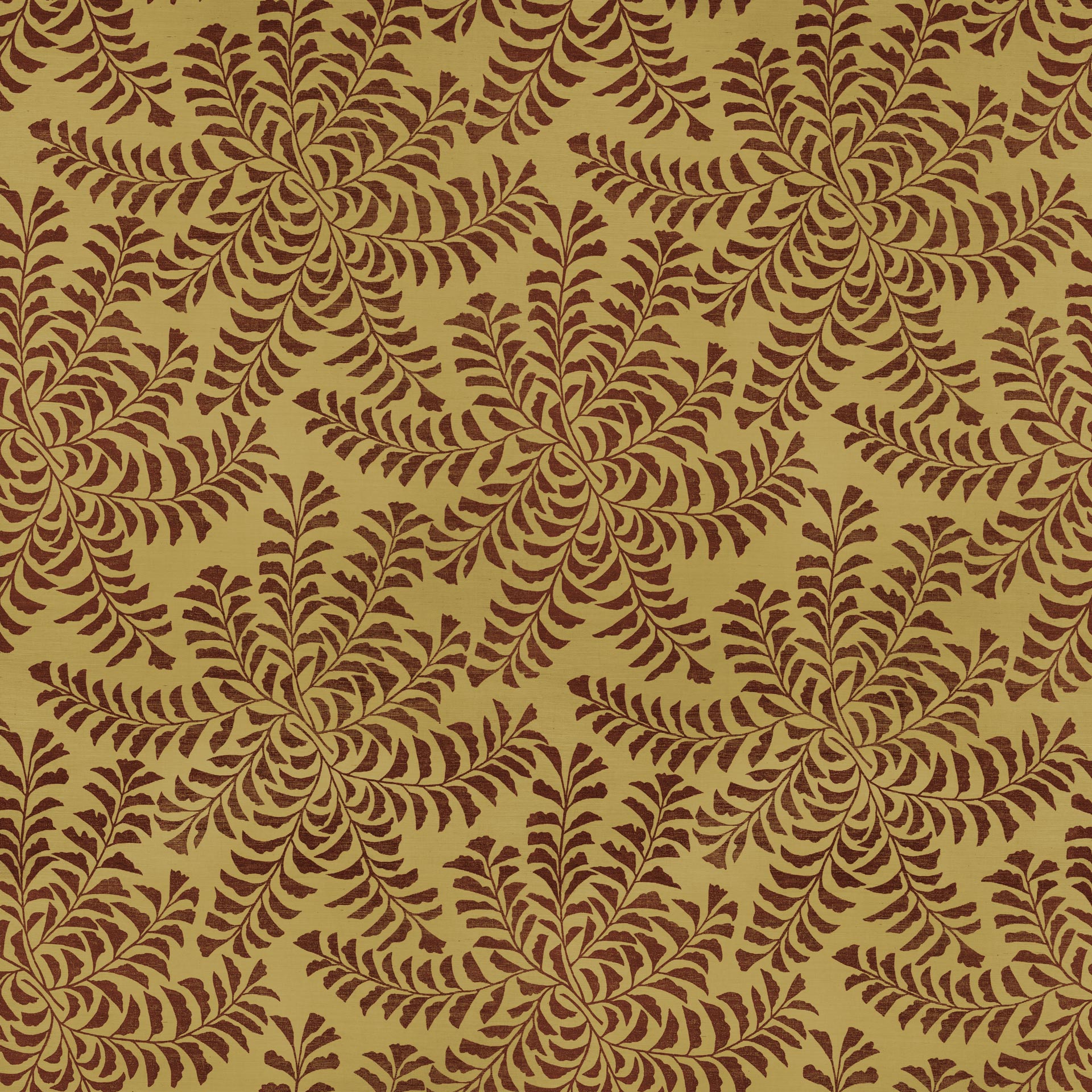 Fern