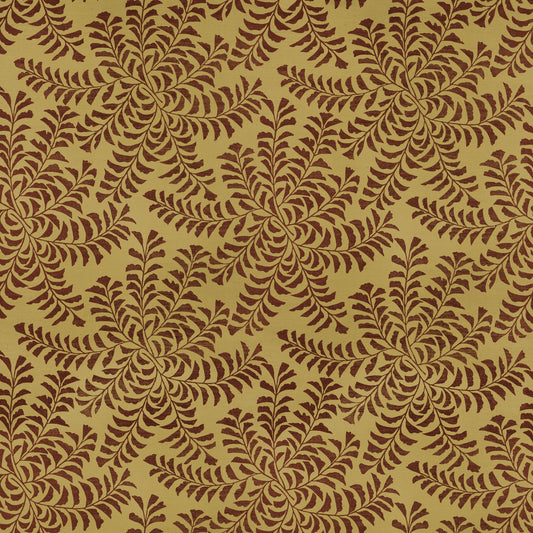 Fern