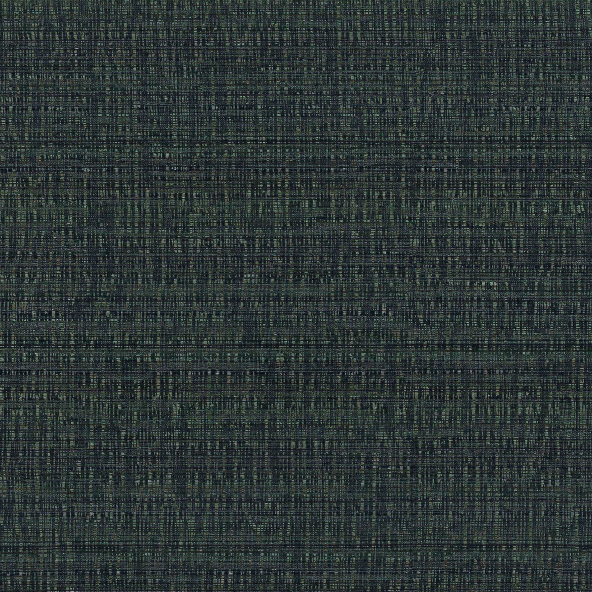 Yakusugi