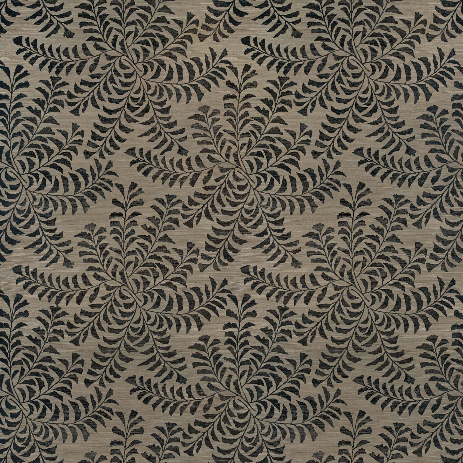 Fern