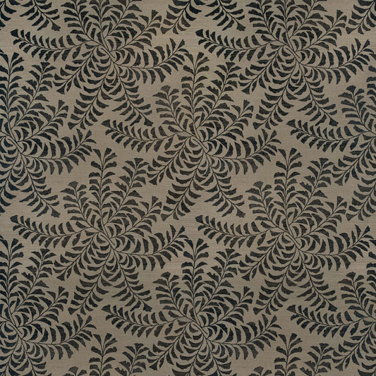 Fern