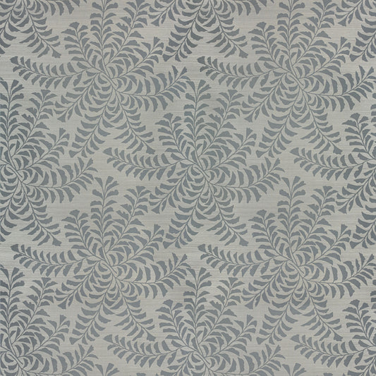 Fern