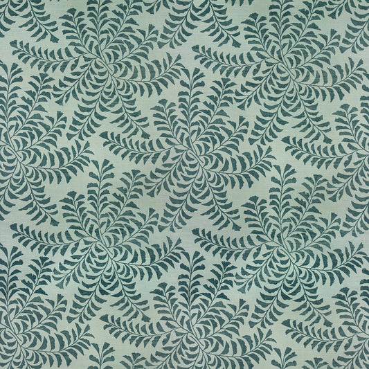 Fern