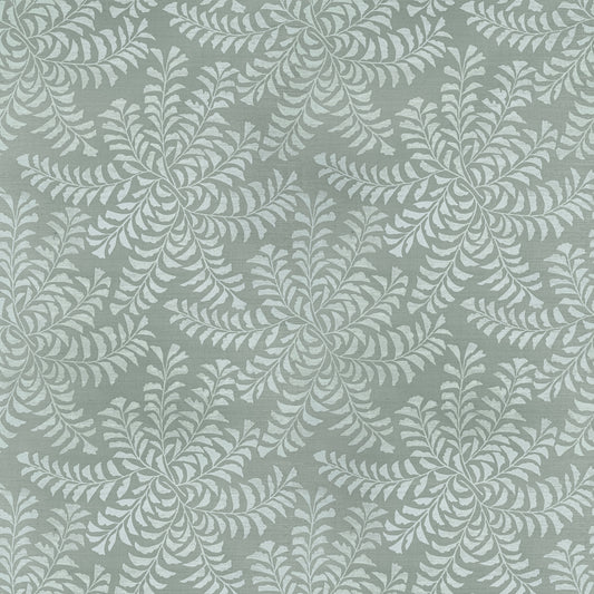 Fern