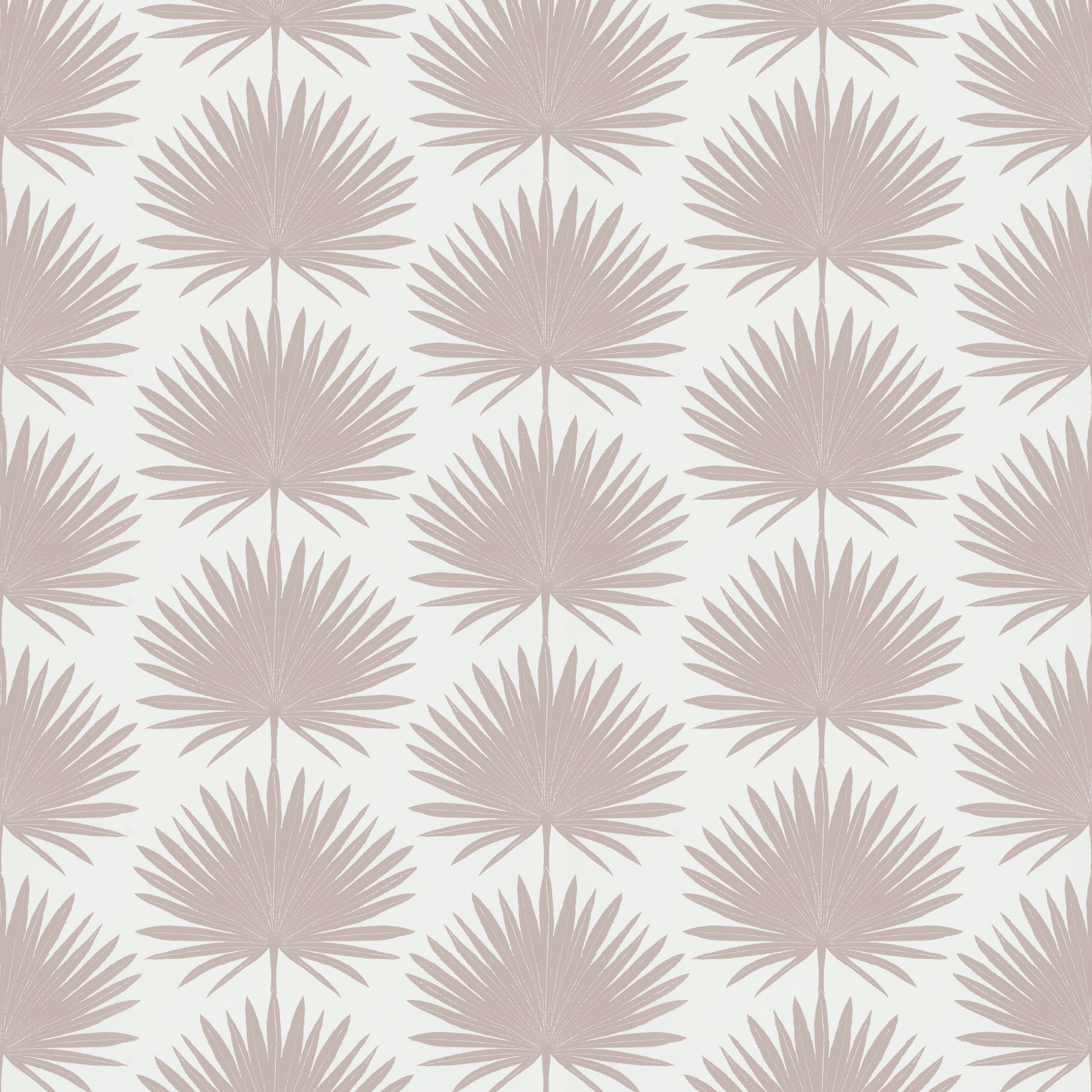 Palmetto