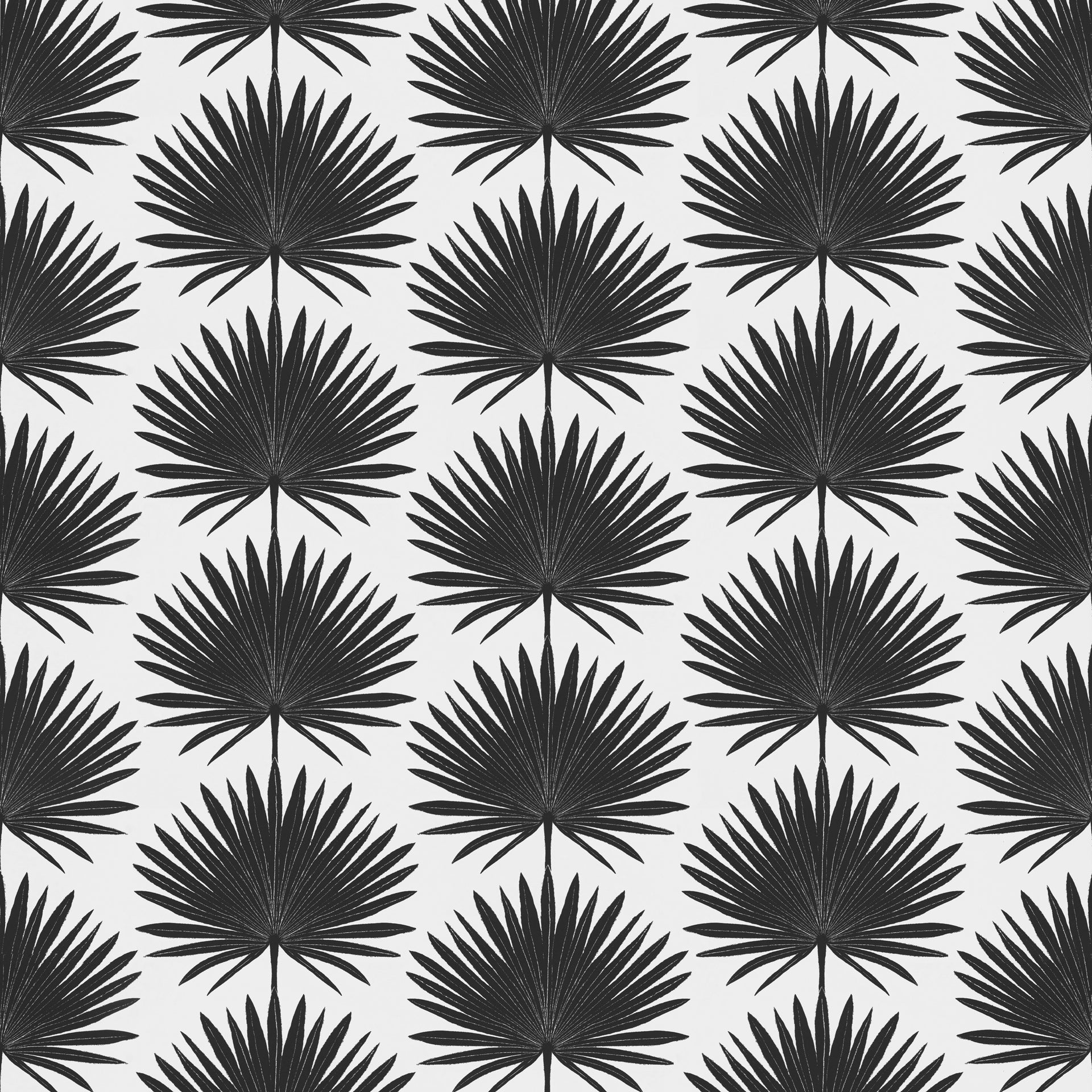 Palmetto