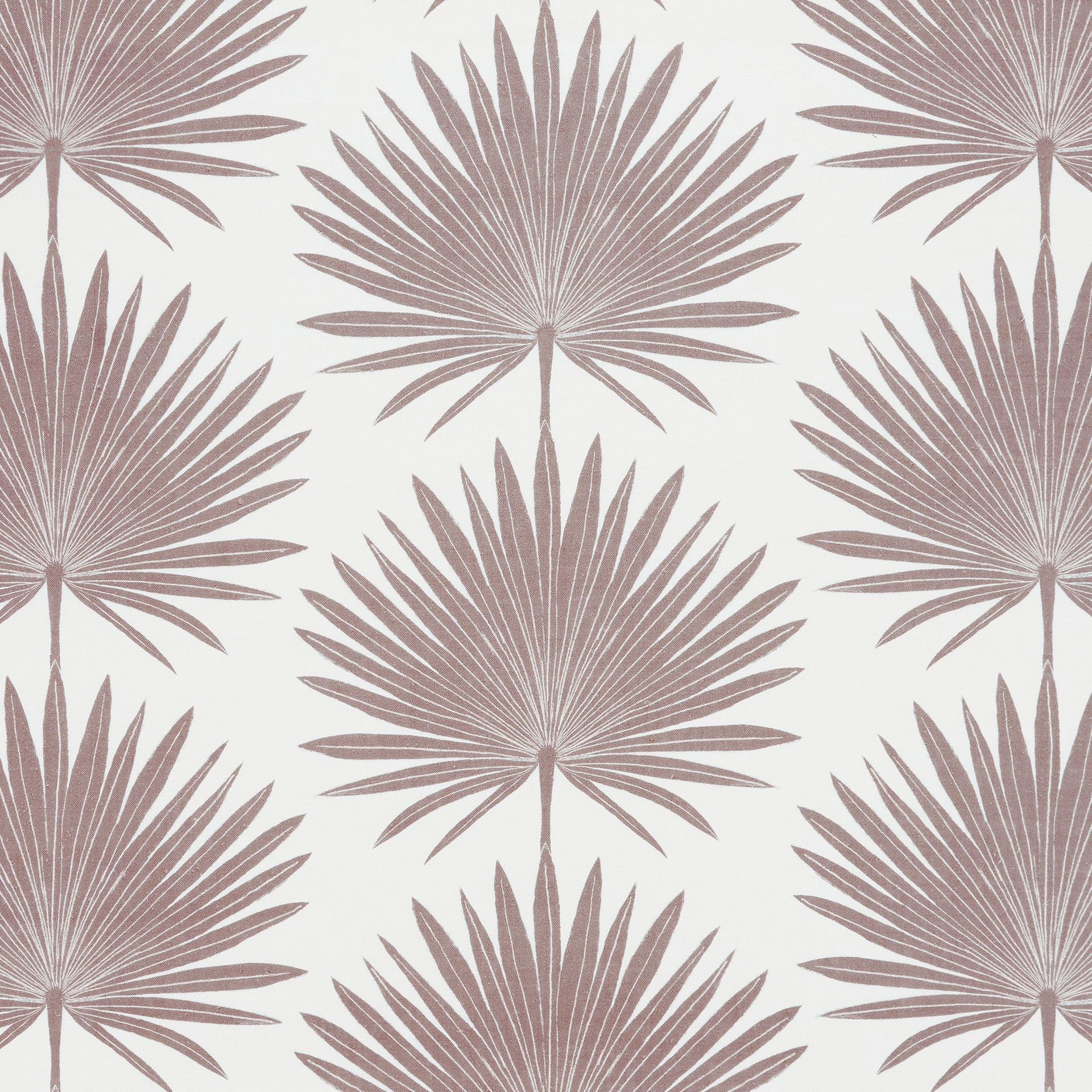 Palmetto