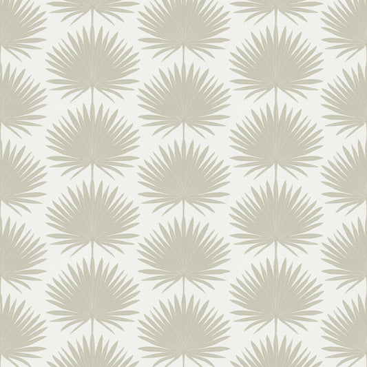 Palmetto